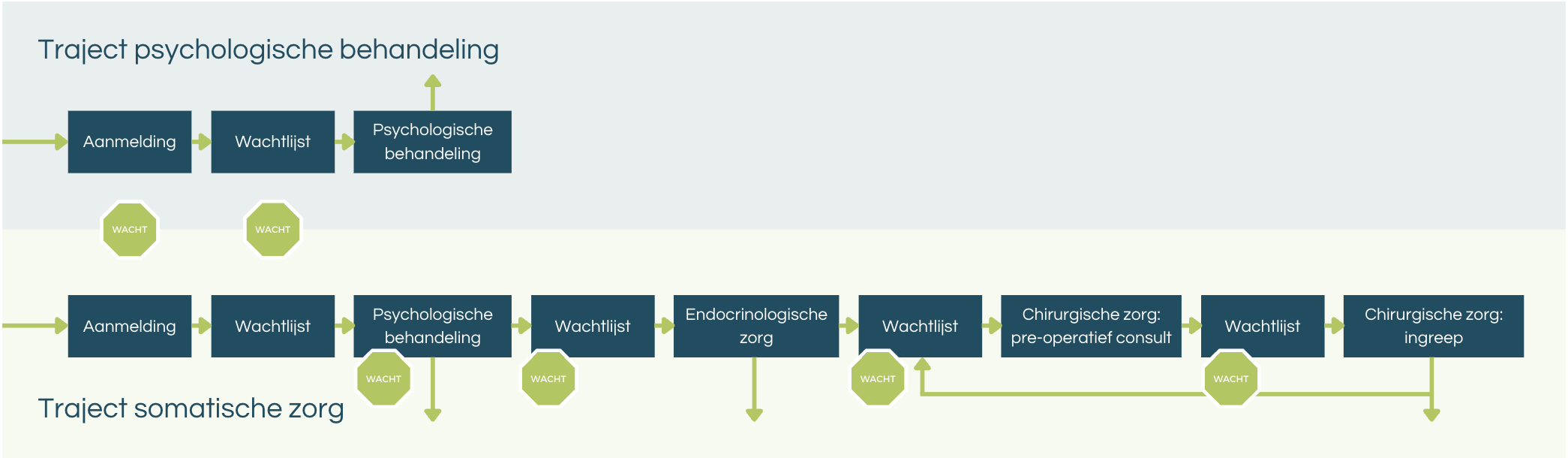 Impuls Economen somatische zorg model Impuls Economen somatische zorg model